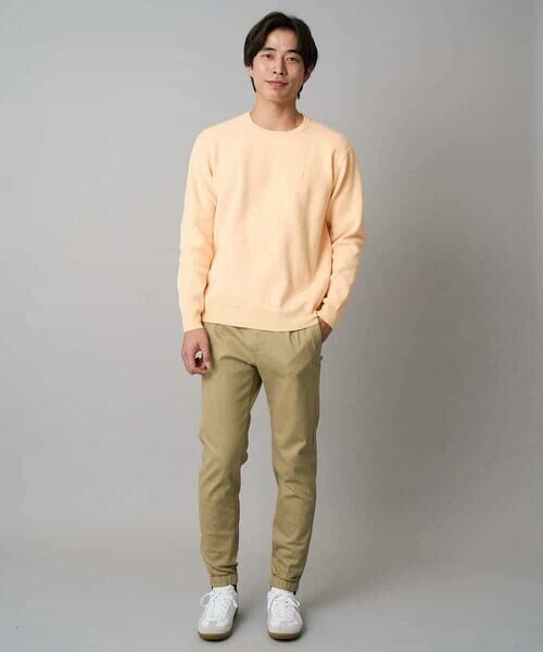 a.v.v / アー・ヴェ・ヴェ ニット・セーター | 【洗濯機で洗える】ジャカードクルーネックニット | 詳細1