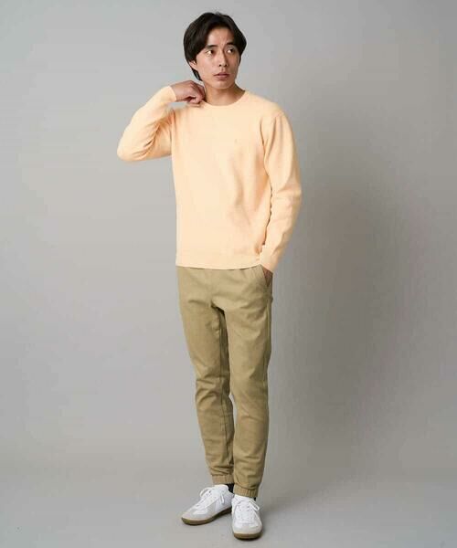 a.v.v / アー・ヴェ・ヴェ ニット・セーター | 【洗濯機で洗える】ジャカードクルーネックニット | 詳細2