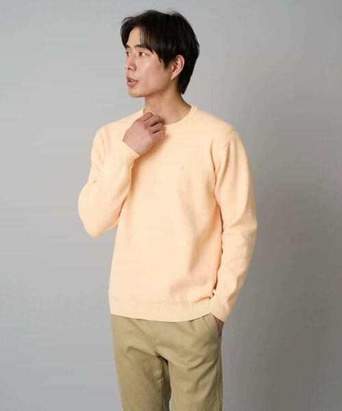 a.v.v / アー・ヴェ・ヴェ ニット・セーター | 【洗濯機で洗える】ジャカードクルーネックニット | 詳細26