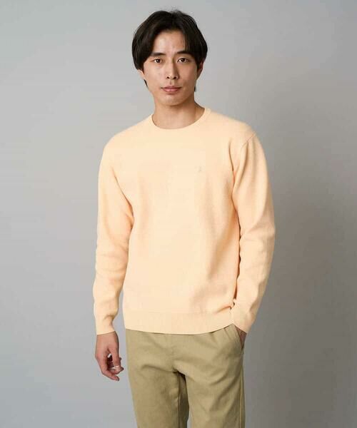 a.v.v / アー・ヴェ・ヴェ ニット・セーター | 【洗濯機で洗える】ジャカードクルーネックニット | 詳細27