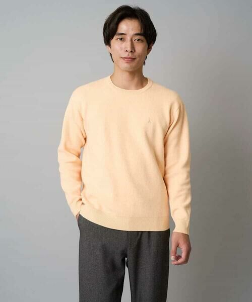 a.v.v / アー・ヴェ・ヴェ ニット・セーター | 【洗濯機で洗える】ジャカードクルーネックニット | 詳細28