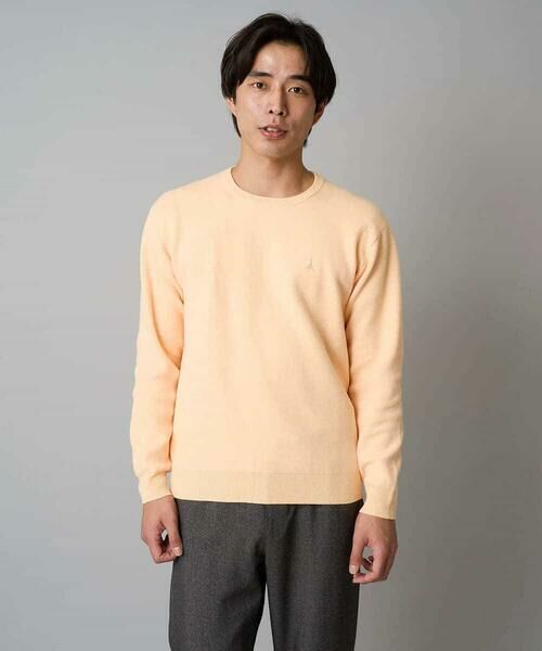 a.v.v / アー・ヴェ・ヴェ ニット・セーター | 【洗濯機で洗える】ジャカードクルーネックニット | 詳細29