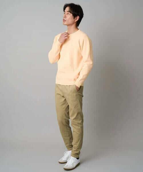 a.v.v / アー・ヴェ・ヴェ ニット・セーター | 【洗濯機で洗える】ジャカードクルーネックニット | 詳細3