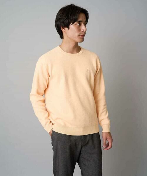 a.v.v / アー・ヴェ・ヴェ ニット・セーター | 【洗濯機で洗える】ジャカードクルーネックニット | 詳細30