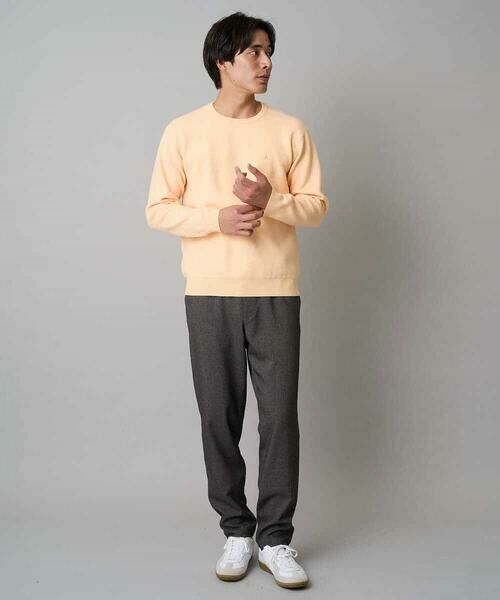 a.v.v / アー・ヴェ・ヴェ ニット・セーター | 【洗濯機で洗える】ジャカードクルーネックニット | 詳細6