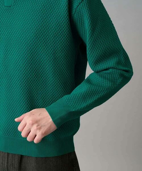 a.v.v / アー・ヴェ・ヴェ ニット・セーター | 【洗濯機で洗える】ポップコーンスキッパーニットポロ | 詳細14