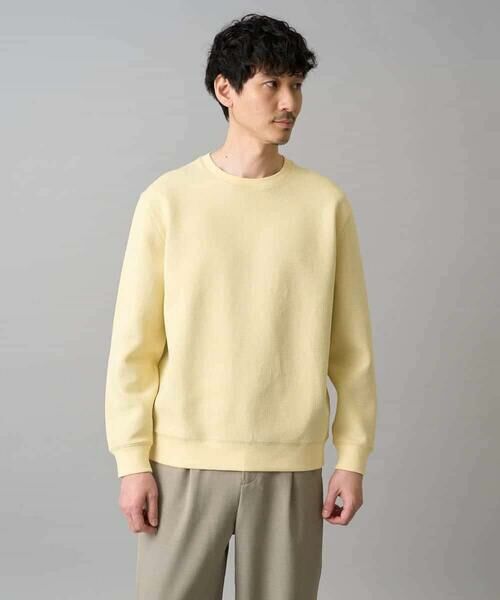 a.v.v / アー・ヴェ・ヴェ カットソー | 【イージーケア/洗濯機で洗える/毛玉になりにくい/ストレッチ】サッカーダンボールプルオーバー | 詳細15