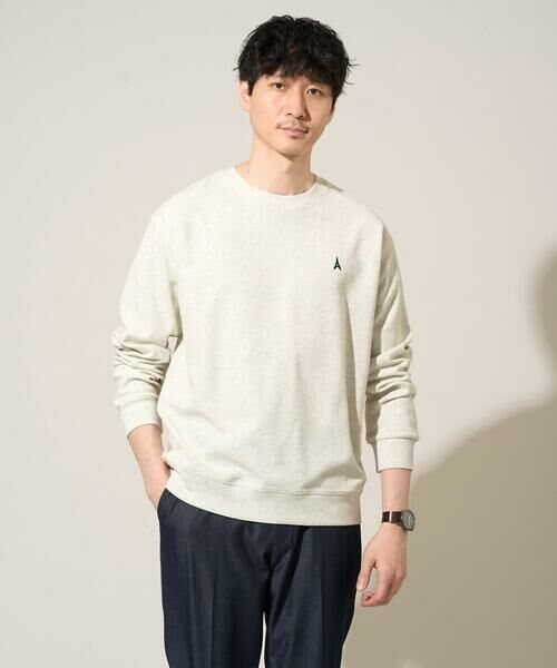 a.v.v / アー・ヴェ・ヴェ カットソー | 【イージーケア/洗濯機で洗える/毛玉になりにくい】アゼダブルフェイス1ポイント刺繍プルオーバー | 詳細10