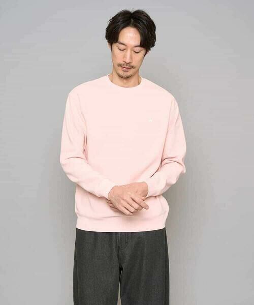 a.v.v / アー・ヴェ・ヴェ カットソー | 【イージーケア/洗濯機で洗える/毛玉になりにくい】アゼダブルフェイス1ポイント刺繍プルオーバー | 詳細23