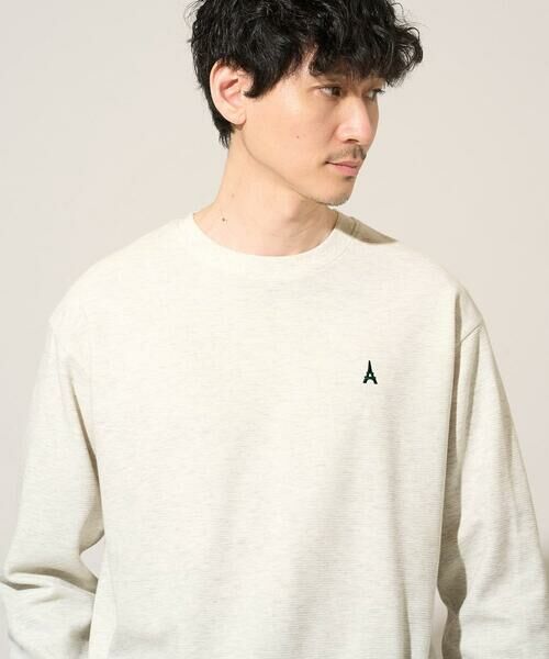 a.v.v / アー・ヴェ・ヴェ カットソー | 【イージーケア/洗濯機で洗える/毛玉になりにくい】アゼダブルフェイス1ポイント刺繍プルオーバー | 詳細9