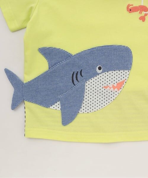 baby Cheer / ベイビーチアー Tシャツ | サメTシャツ | 詳細5