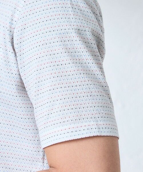 BAKER STREET / ベイカー・ストリート カットソー | ドビーカノコポロシャツ | 詳細6