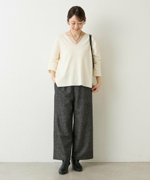 BEARDSLEY / ビアズリー ニット・セーター | シンプルVニット | 詳細19