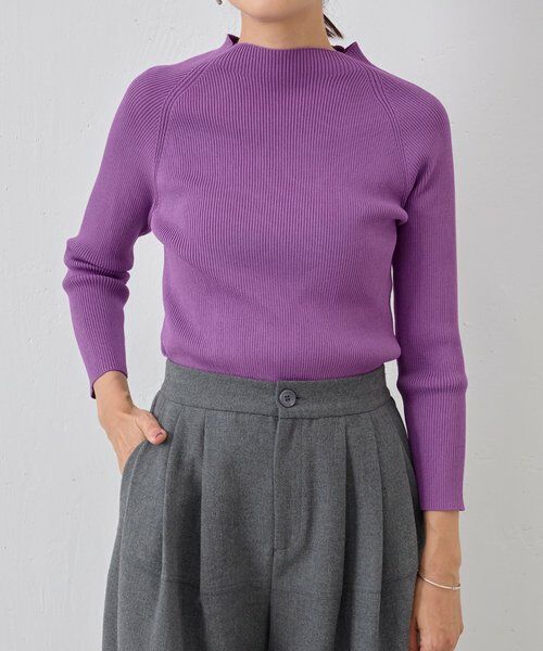 BEARDSLEY / ビアズリー ニット・セーター | ハイネックリブニット | 詳細1