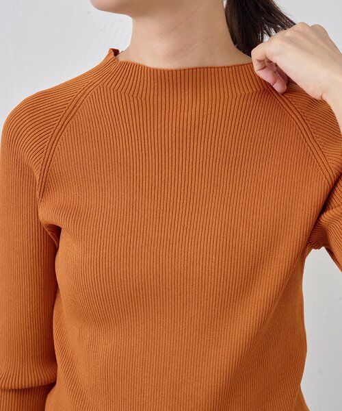 BEARDSLEY / ビアズリー ニット・セーター | ハイネックリブニット | 詳細11