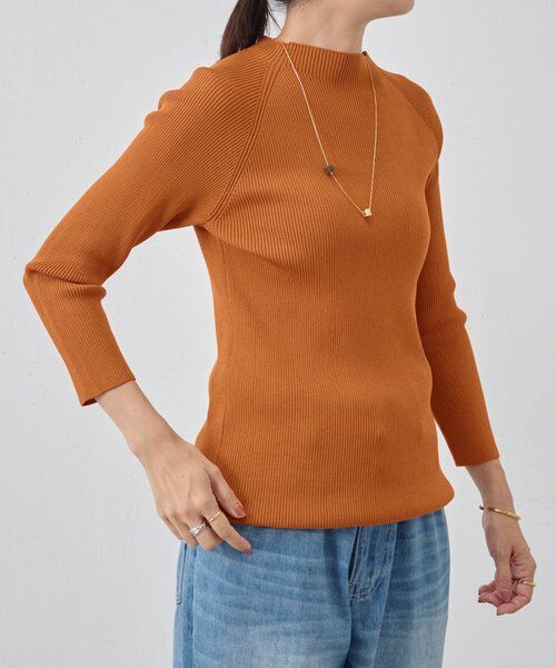 BEARDSLEY / ビアズリー ニット・セーター | ハイネックリブニット | 詳細15