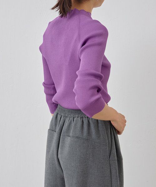 BEARDSLEY / ビアズリー ニット・セーター | ハイネックリブニット | 詳細3