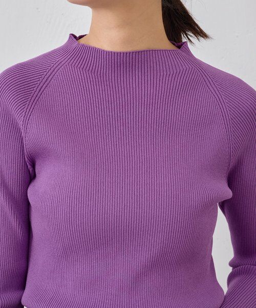 BEARDSLEY / ビアズリー ニット・セーター | ハイネックリブニット | 詳細5
