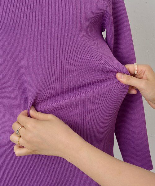 BEARDSLEY / ビアズリー ニット・セーター | ハイネックリブニット | 詳細29