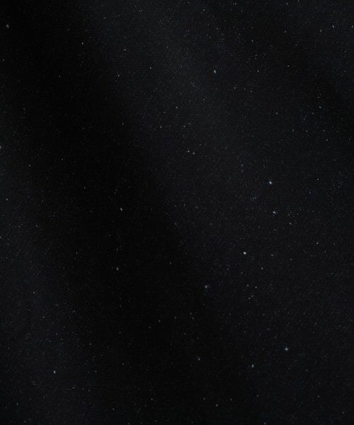 BEARDSLEY / ビアズリー ロング・マキシ丈スカート | メリーゴーランドサークルスカート | 詳細19