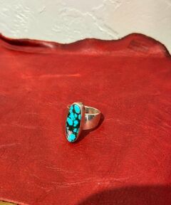 BEARDSLEY / ビアズリー ネックレス・ペンダント・チョーカー | 《HARPO》リング