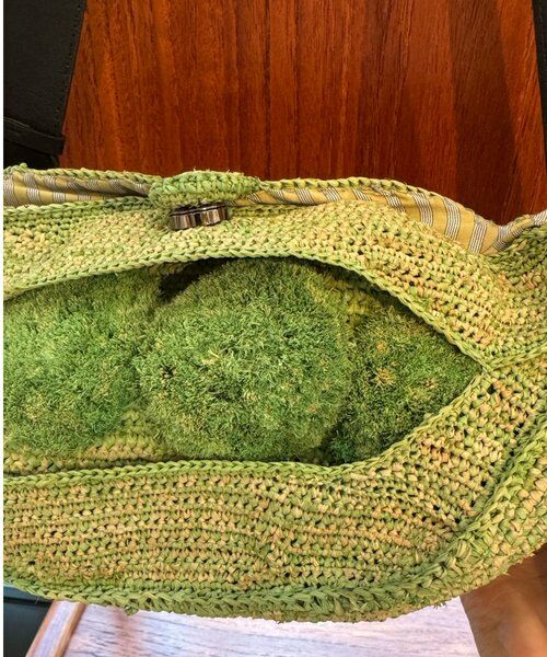 BEARDSLEY / ビアズリー トートバッグ | 《JAMIN PUECH》エンドウ豆バッグ | 詳細2