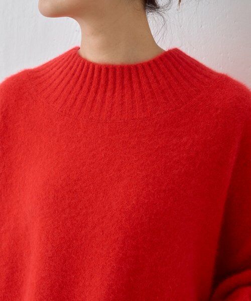 BEARDSLEY / ビアズリー ニット・セーター | FOXウールボトルネックニット | 詳細19