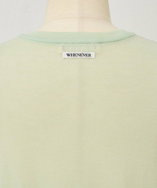 BEARDSLEY / ビアズリー カットソー | 《LEVAR》ウール混シアーカットソー（ミント） | 詳細18