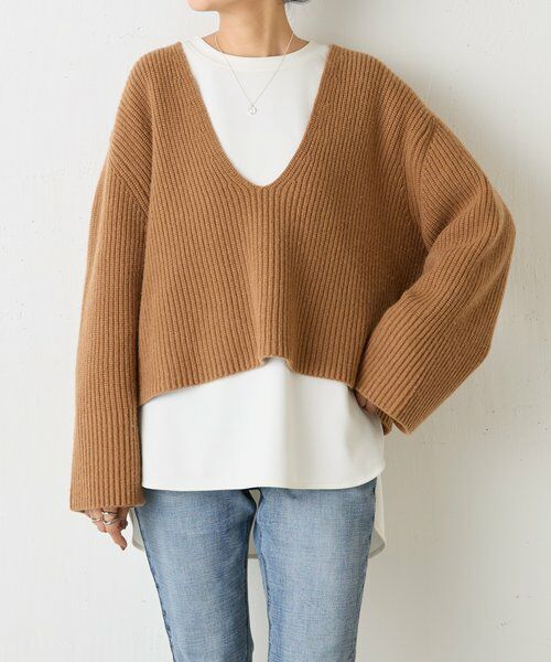 BEARDSLEY / ビアズリー ニット・セーター | Vネック畦プルオーバー | 詳細20