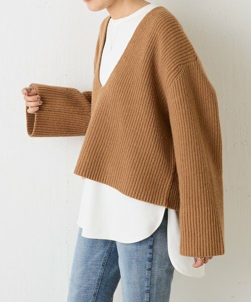 BEARDSLEY / ビアズリー ニット・セーター | Vネック畦プルオーバー | 詳細21