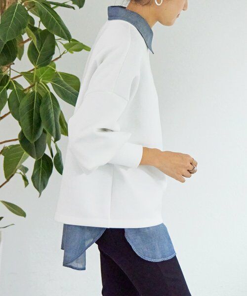 BEARDSLEY / ビアズリー カットソー | ダンボールパフトレーナー | 詳細16