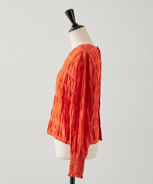 BEARDSLEY / ビアズリー シャツ・ブラウス | コットンシャーリングブラウス | 詳細16