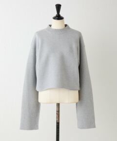 BEARDSLEY / ビアズリー ニット・セーター | 《SOFIE D'HOORE》コンパクトウールニット