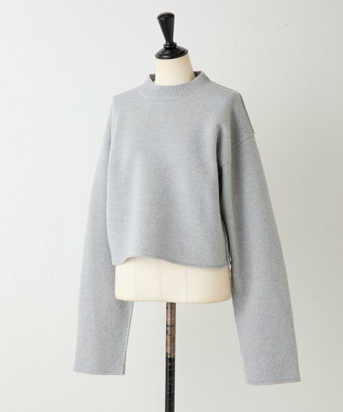 BEARDSLEY / ビアズリー ニット・セーター | 《SOFIE D'HOORE》コンパクトウールニット | 詳細1