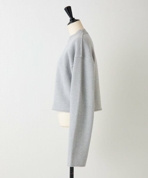 BEARDSLEY / ビアズリー ニット・セーター | 《SOFIE D'HOORE》コンパクトウールニット | 詳細2