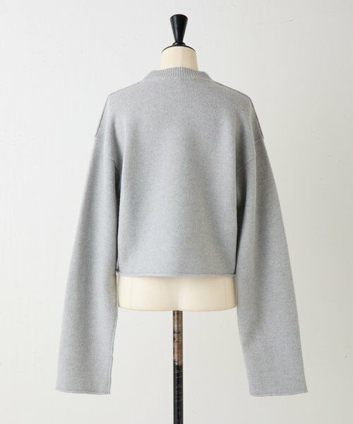 BEARDSLEY / ビアズリー ニット・セーター | 《SOFIE D'HOORE》コンパクトウールニット | 詳細3