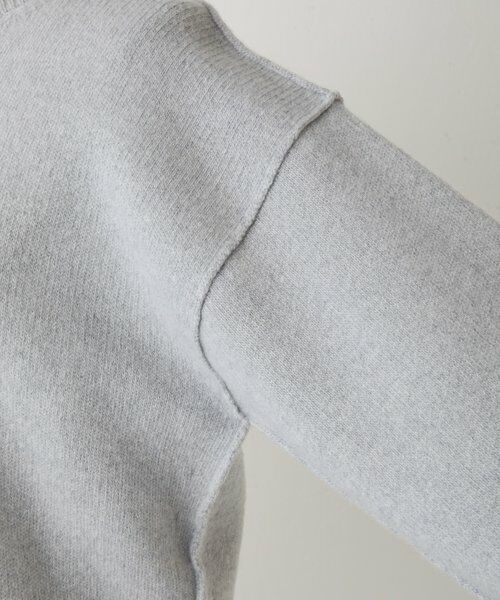 BEARDSLEY / ビアズリー ニット・セーター | 《SOFIE D'HOORE》コンパクトウールニット | 詳細5
