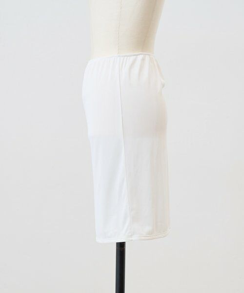 BEARDSLEY / ビアズリー ロング・マキシ丈スカート | ドットバイヤススカート《FRIPIER》 | 詳細17