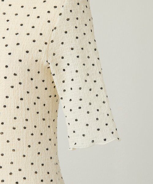 BEARDSLEY / ビアズリー カットソー | 《4/21(火)12時予約開始》ドットシャーリングTブラウス《FRIPIER》 | 詳細14