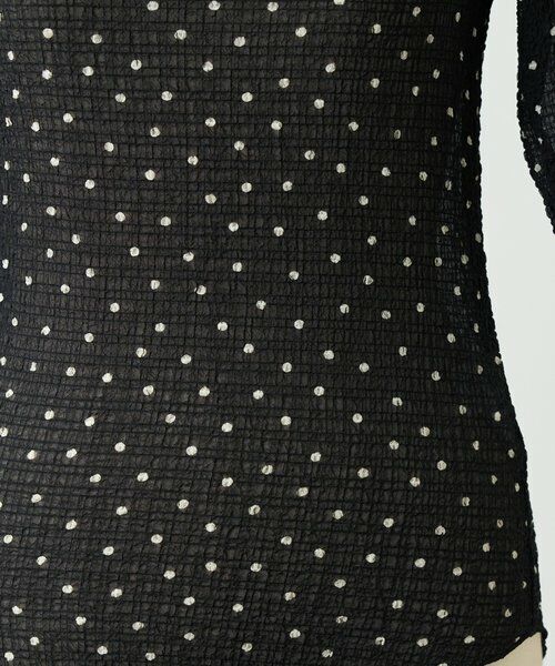 BEARDSLEY / ビアズリー カットソー | ドットシャーリングTブラウス《FRIPIER》 | 詳細24