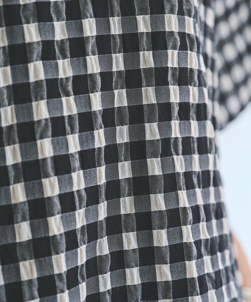 BEARDSLEY / ビアズリー シャツ・ブラウス | 《4/5(日)12：00予約開始》シアーギンガム前後ブラウス | 詳細25