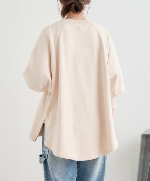 BEARDSLEY / ビアズリー カットソー | シシュウ入りドルマントレーナー | 詳細13