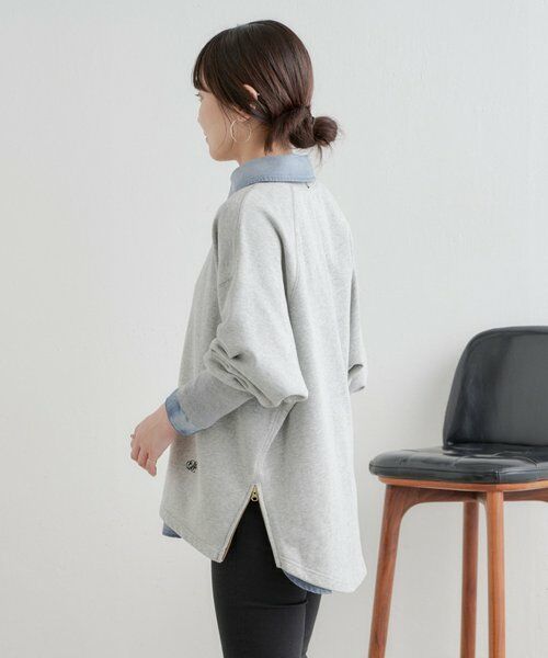 BEARDSLEY / ビアズリー カットソー | シシュウ入りドルマントレーナー | 詳細25