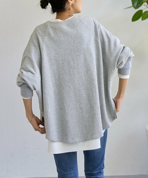 BEARDSLEY / ビアズリー カットソー | シシュウ入りドルマントレーナー | 詳細18