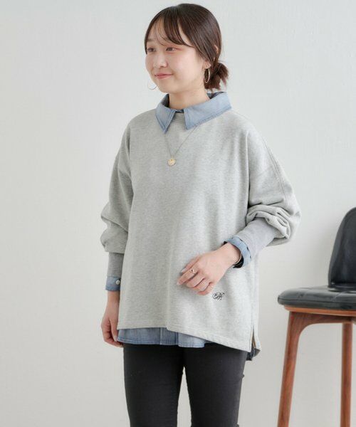 BEARDSLEY / ビアズリー カットソー | シシュウ入りドルマントレーナー | 詳細24