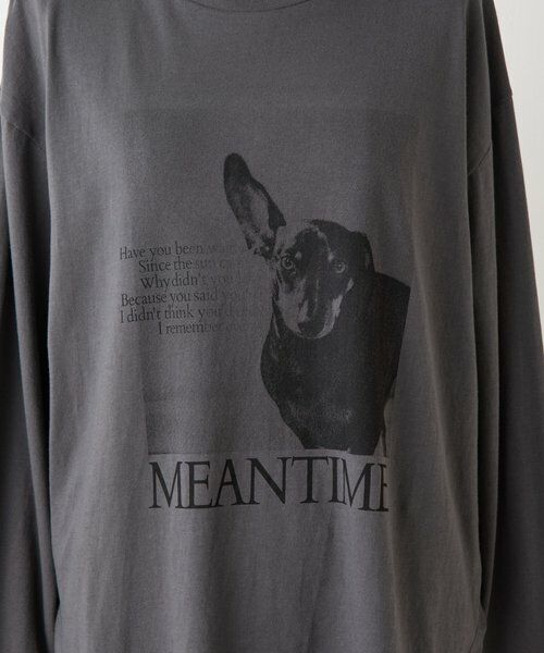 BEARDSLEY / ビアズリー カットソー | ドッグプリントロンTee《FRIPIER》 | 詳細20