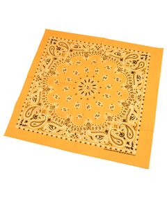 ＜Hav-A-Hank＞PaisleyBANDANA