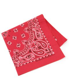 ＜Hav-A-Hank＞PaisleyBANDANA