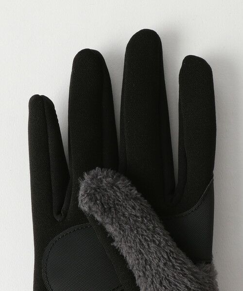 BEAUTY&YOUTH UNITED ARROWS / ビューティー&ユース ユナイテッドアローズ 手袋 | ＜THE NORTH FACE（ザノースフェイス）＞ DENALI ETIP GLOVE/グローブ | 詳細3