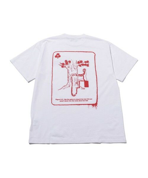 BEAUTY&YOUTH UNITED ARROWS / ビューティー&ユース ユナイテッドアローズ カットソー | ＜ARIES＞ CHI SS TEE/Tシャツ | 詳細1